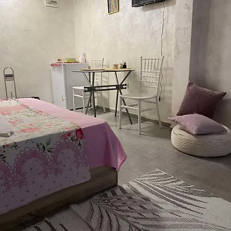 паритон партер Daire *